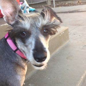 Meet your Posher, Juana